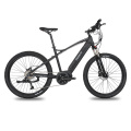 Elektrisches Mountainbike mit Lithiumbatterie